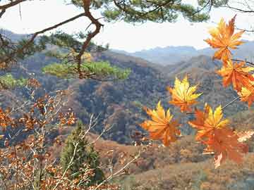 大发彩票welcome邀请码